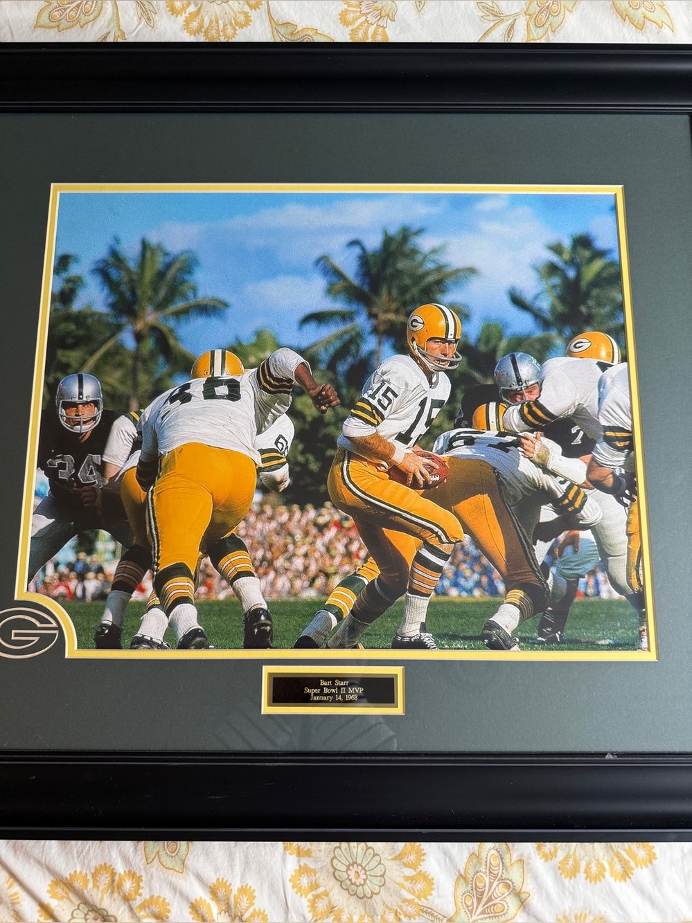 Green Bay Packers Wall Hanging Bart Starr Super Bowl II Pro Framed Nameplate LG
